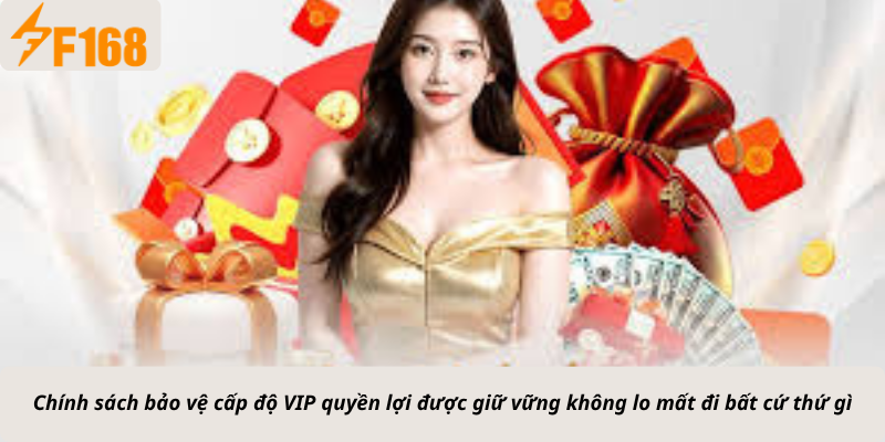 Chính sách bảo vệ cấp độ VIP quyền lợi được giữ vững không lo mất đi bất cứ thứ gì